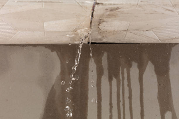 Professional Sewage Cleanup technician working in Greenfield, MO